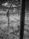 Metal poles DSCN1401