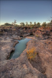 Waterholes near sunset  _DSC1986-88