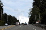 IMG_3831.jpg