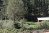 Along Hwy 299 3.jpg
