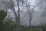 Fremont Peak Campground.JPG
