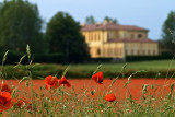 Villa Botta Adorno