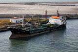 Divina - Livorno