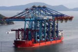 Zhen Hua 27