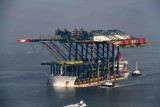 Zhen Hua 14