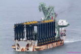 Zhen Hua 21