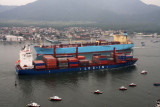 Maersk Visual x Log-in Amazonia