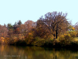 Cherokee Lake.