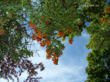 Madison, Indiana