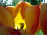 Marvels in May!