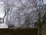 The Big Freeze.