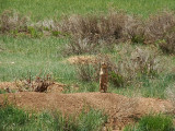 Bryce Canyon, Utah<BR>VIDEO