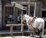 Virginia City