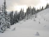 Starting the New Year at Whistler