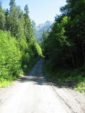 Up the logging road we go...