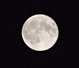 IMG_5374web.jpg