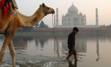 taj mahal and camel boy.jpg