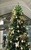 Christmas Tree at Stockmanns