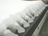 Ice Paws