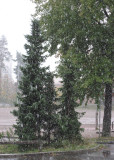 First Wet Snow in Helsinki on 12th October 2009