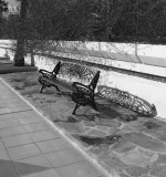 Iron Bench Waiting for Guests..