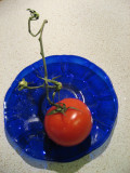 Cluster Tomato