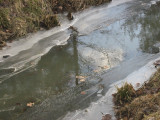 A Ditch With Some Ice And Leaves..