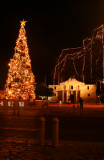 Christmas Tree and Lights at the Alamo