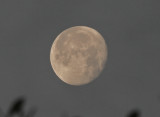 Moon 02/23/2008