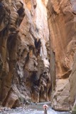 The Narrows, Zion National Park, Utah 2009