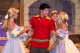 DHS Beauty and the Beast show