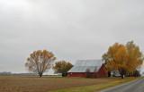 November 9, 2008