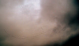 December 20, 2008