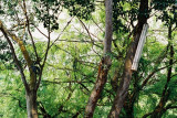 reF1000006.jpg