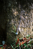 eF1220006.jpg
