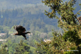 CSC_0112.JPG