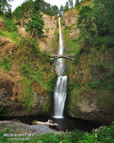 Multnomah Falls at Dusk