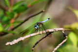 DSC_00330001.JPG