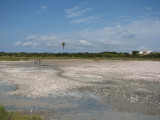 The Mud Lake