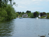 Horning 2009