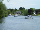 Horning 2009