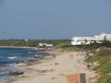 Migjorn 2009