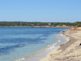 Migjorn 2010