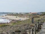 Migjorn 2010