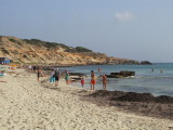 Es Copinar 2010