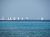 Es Cavall 2010