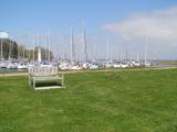 Greensward at Shotley Marina