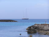 Seagulls and Super-Yacht