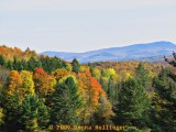 Vermont View in Fall