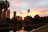 Sydney Skyline from the Botanical Garden